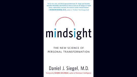 Mindsight Summary of Key Ideas and Review - Daniel Siegel