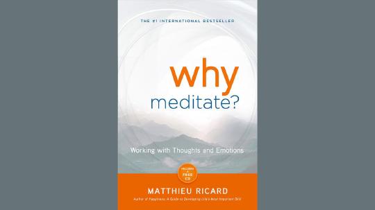 Why Meditate Summary of Key Ideas and Review - Matthieu Ricard