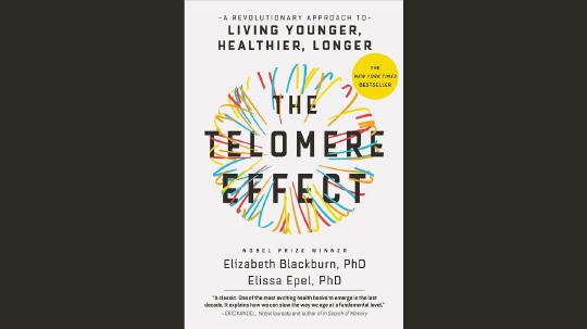 The Telomere Effect Summary of Key Ideas and Review - Dr. Elizabeth Blackburn and Elissa Epel