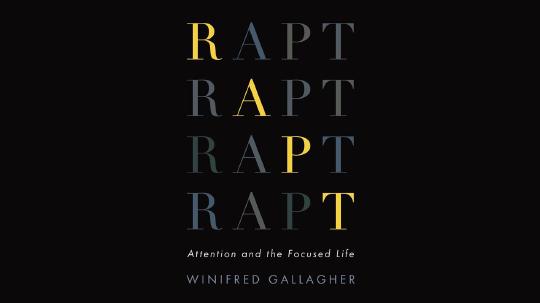 Rapt Summary of Key Ideas and Review - Winifred Gallagher