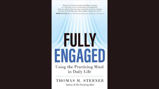 Fully Engaged Summary of Key Ideas and Review - Thomas Sterner
