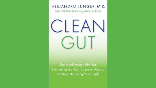 Clean Gut Summary of Key Ideas and Review - Dr. Alejandro Junger
