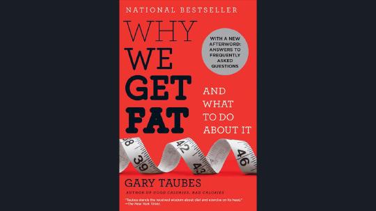 Why We Get Fat Summary of Key Ideas and Review - Gary Taubes